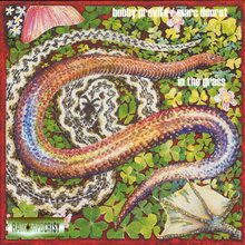 In The Grass (With Bobby Previte)