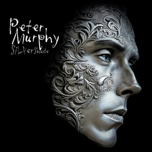 Silver Shade