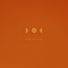 Fool To Love (CDS)