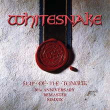Slip Of The Tongue (Super Deluxe Edition) CD3