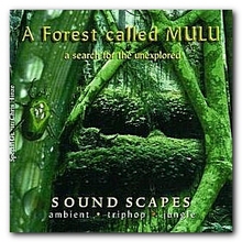 A Forest Called Mulu - A Serach For The Unexplored