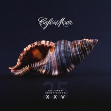 Café Del Mar Xxv (Vol. 25) CD2