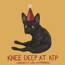 Knee Deep At Atp (CDS)