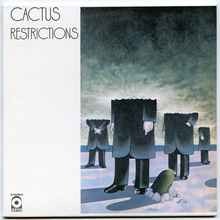 Restrictions (Vinyl)