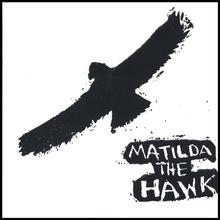 Matilda the Hawk