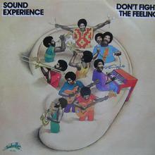 Don't Fight The Feeling (Vinyl)