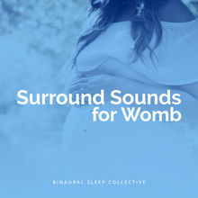 Surround Sounds For Womb