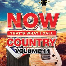 Now That's What I Call Country Vol. 11