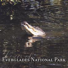 Voices of Everglades National Park