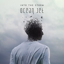 Into The Storm (CDS)