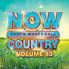 Now That's What I Call Country Vol. 13