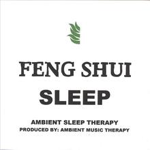 Feng Shui Sleep (Import) - By: Ambient Music Therapy