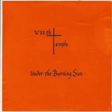 Under The Burning Sun (Vinyl)