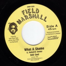 What A Shame (With The Militants) (Reissued 2005)