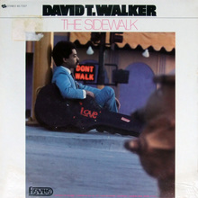 The Sidewalk (Vinyl)