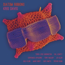 Diatom Ribbons
