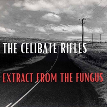 Extract From The Fungus (EP)