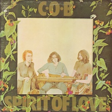 Spirit Of Love (Vinyl)