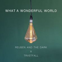 What A Wonderful World (Acoustic) (Feat. Trvstfall) (CDS)