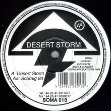 Desert Storm / Scoraig 93 (VLS)