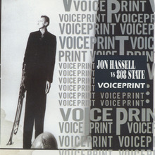 Voiceprint (Blind From The Facts)