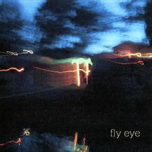 Fly Eye
