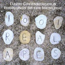 1001 Real Apes (With David Greenberger)