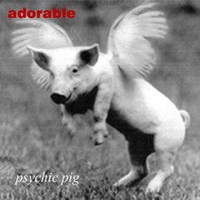 Psychic Pig