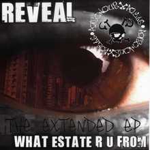 What Estate R U From? (The Extended EP)