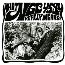 What Really Means! (Vinyl) CD1