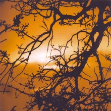 Driftwood (EP)