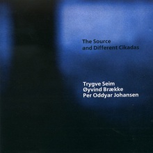 The Source And Different Cikadas (With Øyvind Brække & Per Oddvar Johansen)
