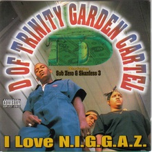 I Love N.I.G.G.A.Z.