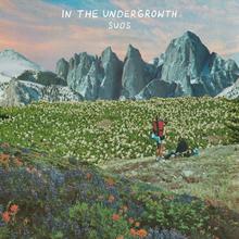 In The Undergrowth (EP)