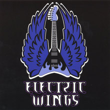 Electric Wings