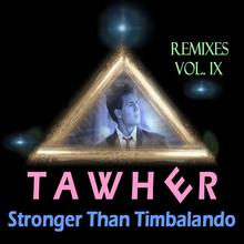 Stronger Than Timbaland Remixes Vol.9