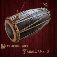 Nothing But Tribal, Vol. 2