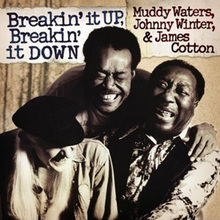Breakin' It Up, Breakin' It Down (Vinyl)