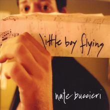 Little Boy Flying