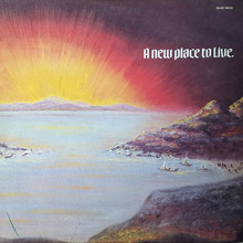 A New Place To Live (Vinyl)