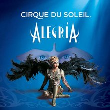 Cirque du soleil alegria dvd download