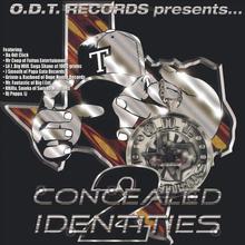 Concealed Identities 2