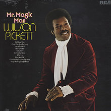 Mr. Magic Man (Vinyl)