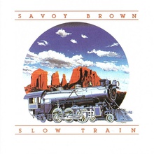 Slow Train (An Album Of Acoustic Music) (Vinyl)