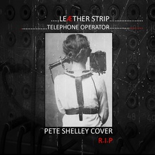 Telephone Operator (Pete Shelley Cover) (CDS)
