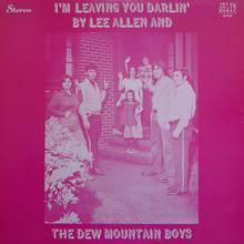 I'm Leaving You Darlin' (Vinyl)