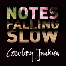 Notes Falling Slow CD3