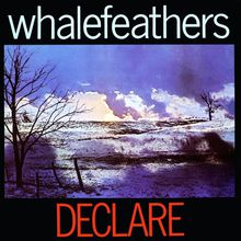 Declare (Vinyl)