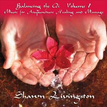 Balancing the Qi Vol. 1 Music for Acupuncture, Healing and Massage. Double disc album.