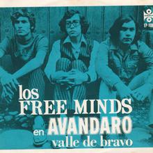 Valle De Bravo (EP) (Vinyl)